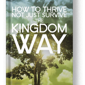 How To Thrive Not Just Survive The Kingdom Way - E-book
